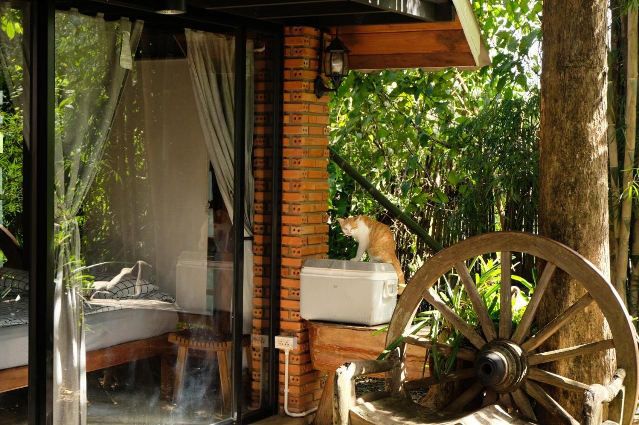 Ashi Guesthouse Chiangdao Чианг Дао Экстерьер фото